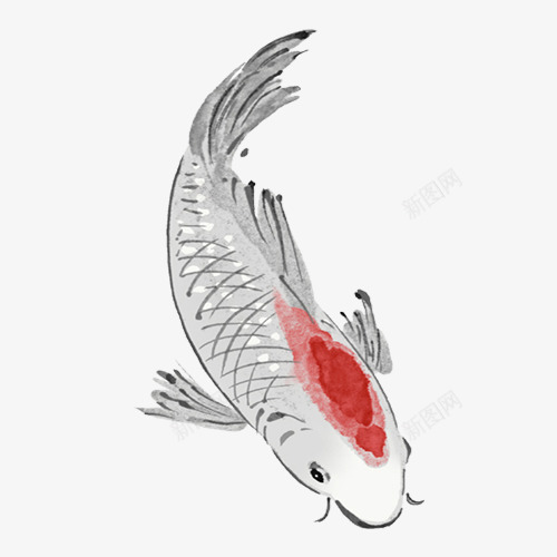 水墨画鲤鱼游动png免抠素材_新图网 https://ixintu.com 免扣素材 古风 水墨风 鲤鱼元素