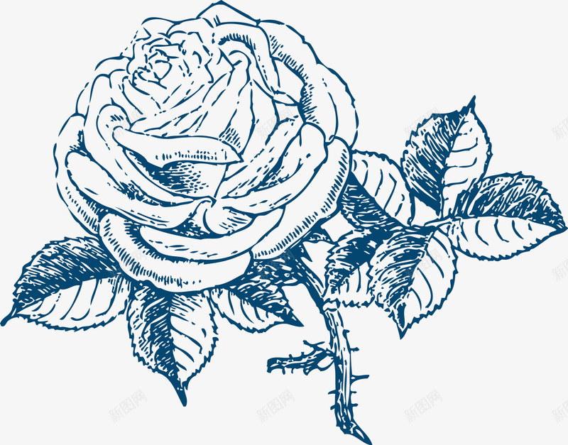 白描玫瑰花png免抠素材_新图网 https://ixintu.com 手绘 玫瑰纹身 玫瑰花 白描 素描