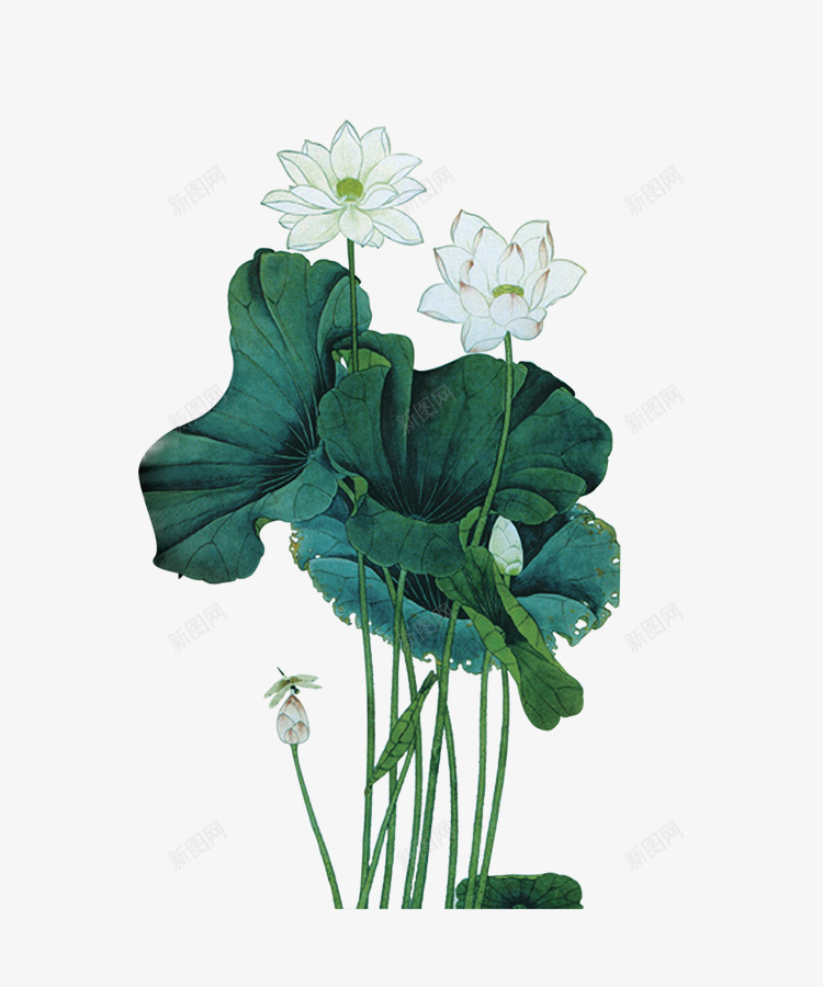 风景花png免抠素材_新图网 https://ixintu.com 古风 意境 素材