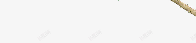 玫瑰手绘png免抠素材_新图网 https://ixintu.com 手绘玫瑰 玫瑰 玫瑰花蕾 粉色玫瑰