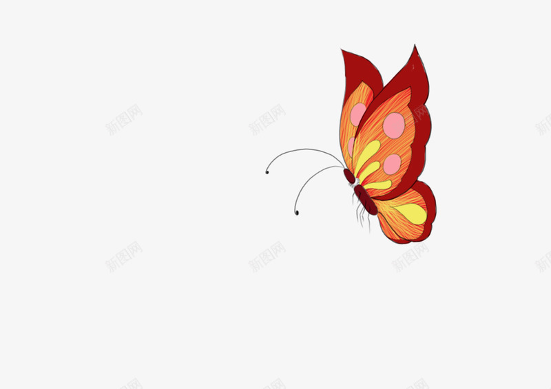 卡通可爱蝴蝶png免抠素材_新图网 https://ixintu.com 卡通 可爱 蝴 蝶