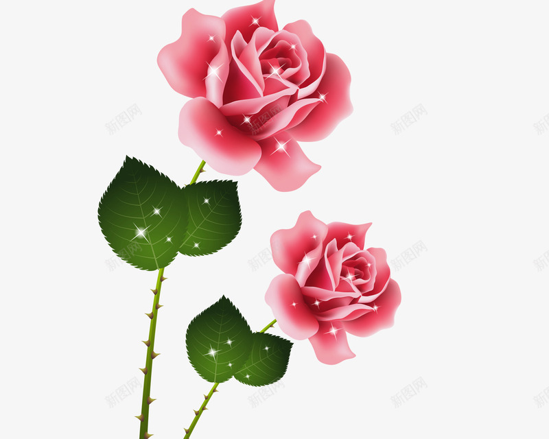红色玫瑰花png免抠素材_新图网 https://ixintu.com 带刺的玫瑰 带刺的红玫瑰 植物 火热 热情 玫瑰花 玫瑰花png 玫绿叶 简约 红玫瑰 红色 红色玫瑰花 花朵