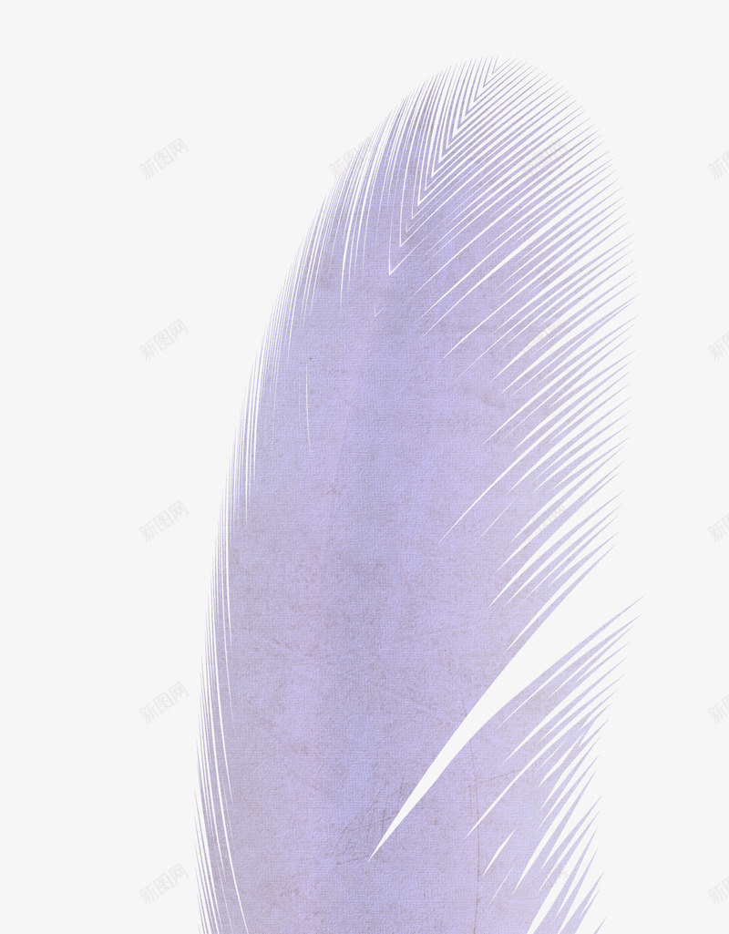 翅膀鸟羽毛粉色羽毛png免抠素材_新图网 https://ixintu.com 创意翅膀图片 卡通 卡通翅膀 可爱 梦幻 粉色 精美 羽毛 翅膀 翅膀图片 鸟羽毛
