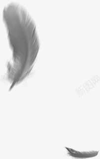 手绘合成灰色的羽毛效果png免抠素材_新图网 https://ixintu.com 合成 效果 灰色 羽毛