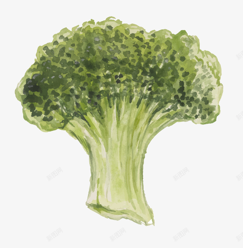 卡通绿色蔬菜西蓝花png免抠素材_新图网 https://ixintu.com 卡通西蓝花 绿色西蓝花