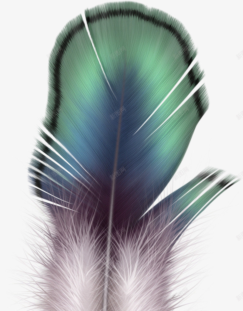 手绘蓝色梦幻艺术羽毛png免抠素材_新图网 https://ixintu.com 梦幻 羽毛 艺术 蓝色 设计
