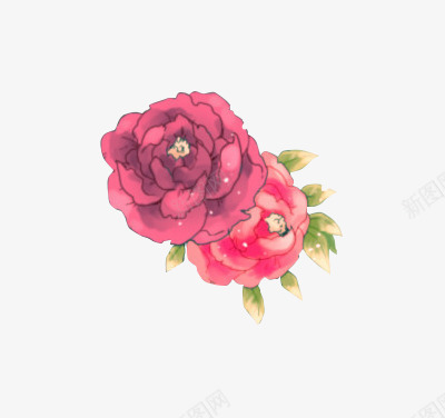 手绘红色玫瑰花装饰png免抠素材_新图网 https://ixintu.com 手绘 玫瑰花 红色 装饰