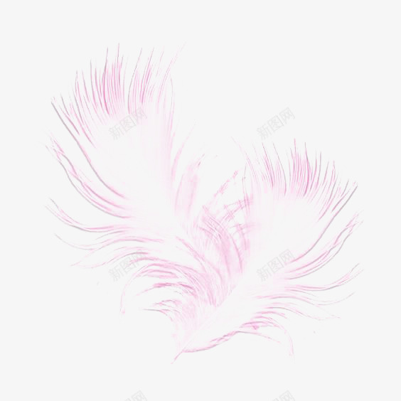 粉色羽毛png免抠素材_新图网 https://ixintu.com 文艺 清新 羽毛免扣元素 羽毛插画 羽翼