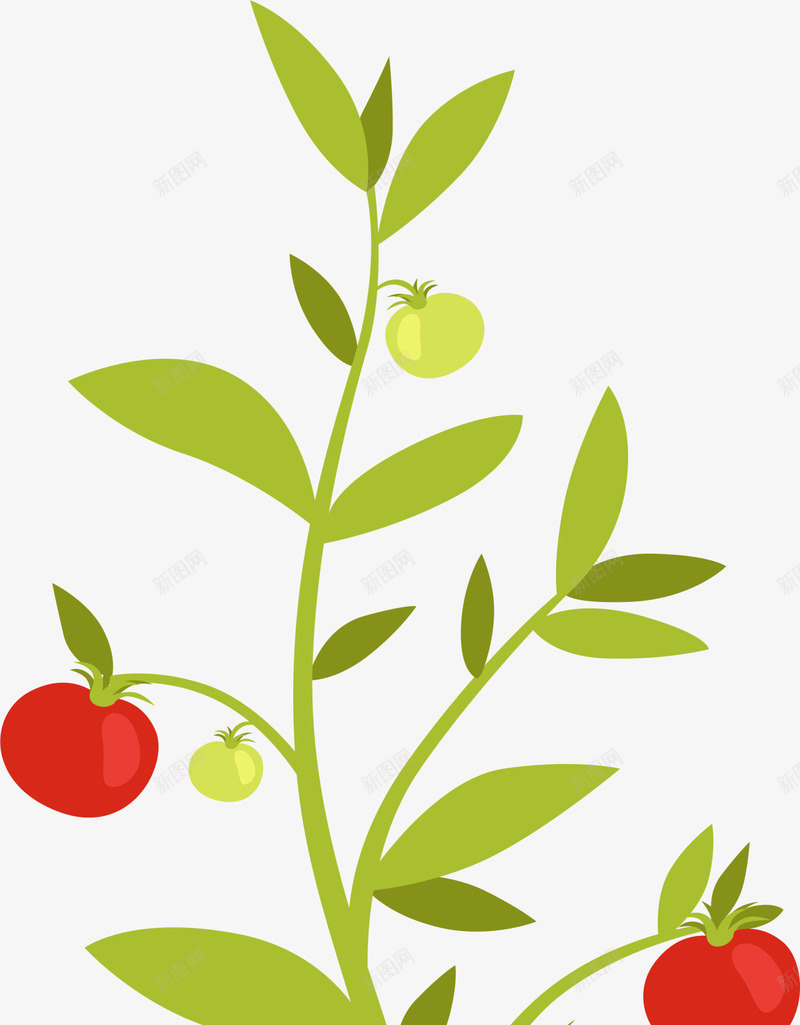 绿色卡通植物png免抠素材_新图网 https://ixintu.com 农家菜 卡通蔬菜 绿色植物 美味西红柿 蔬菜 装饰图案 食品