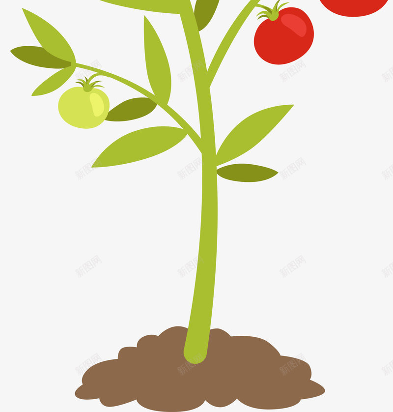 绿色卡通植物png免抠素材_新图网 https://ixintu.com 农家菜 卡通蔬菜 绿色植物 美味西红柿 蔬菜 装饰图案 食品