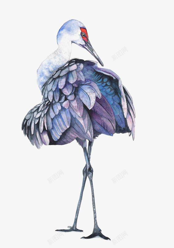 水彩小鸟png免抠素材_新图网 https://ixintu.com 卡通小鸟 小鸟插画 彩色羽毛 手绘小鸟 水鸟 迁徙