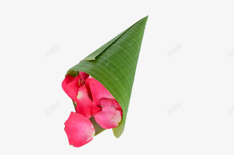 蓝竹叶里的粉色花瓣png免抠素材_新图网 https://ixintu.com 唯美 地上的花瓣 植物 玫瑰花瓣 粉色 花卉 花瓣 落地的花瓣 落花 蓝竹叶