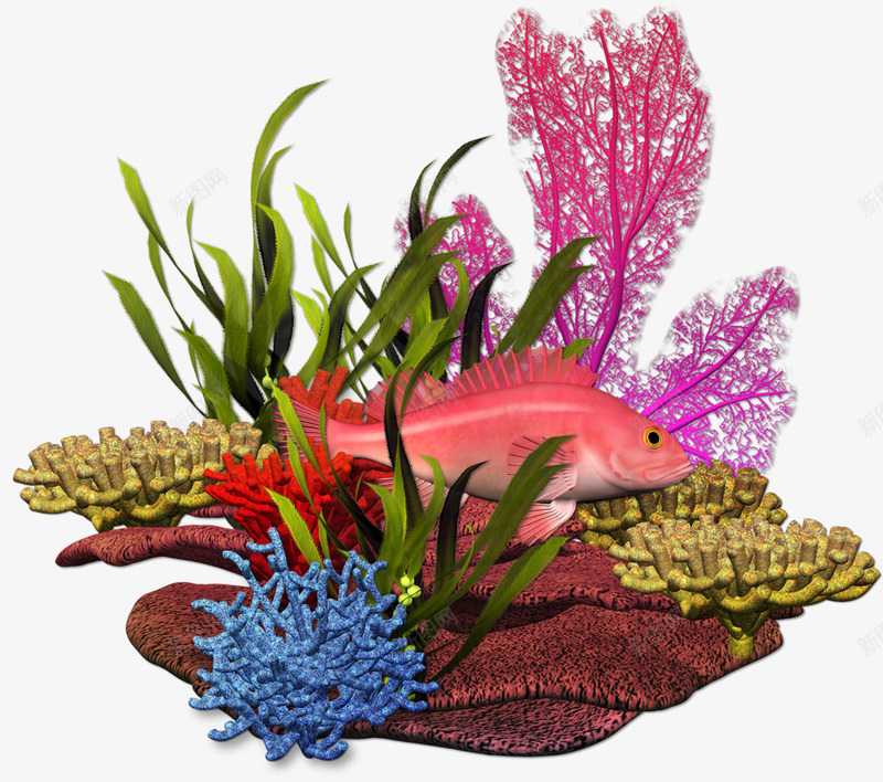 立体深海世界鱼和植物png免抠素材_新图网 https://ixintu.com 植物 水生 海底 海底世界 海洋 深海 深海植物 立体 鱼
