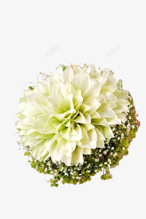 花球婚礼白色手捧花花草png免抠素材_新图网 https://ixintu.com 婚礼白色手捧花 婚礼花球 花球 花草