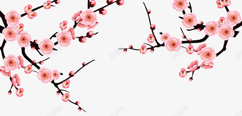 手绘粉色古风梅花png免抠素材_新图网 https://ixintu.com 古风 梅花 粉色