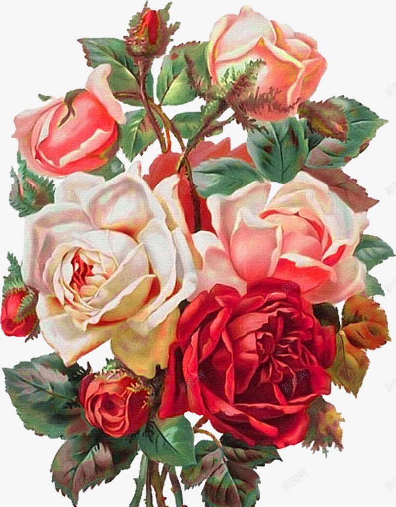 中式手绘插画鲜花png免抠素材_新图网 https://ixintu.com 插画 牡丹 玫瑰 装饰画 鲜花