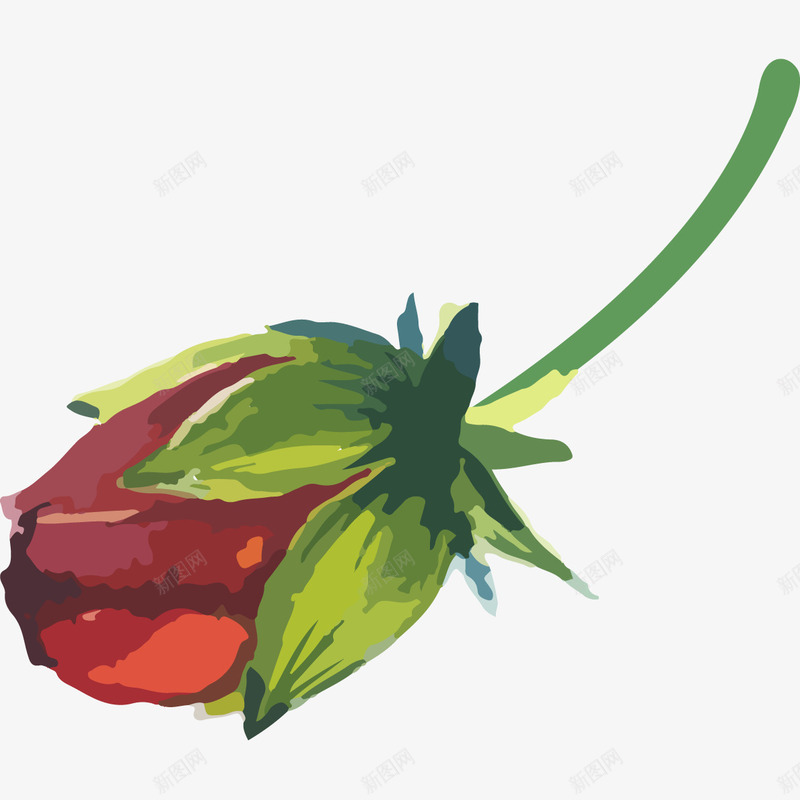 手绘水彩玫瑰花苞png免抠素材_新图网 https://ixintu.com 含苞待放的玫瑰 手绘花苞 植物 水彩 水彩花苞 玫瑰花 玫瑰花苞 红色 花卉 花朵 花苞 花骨朵