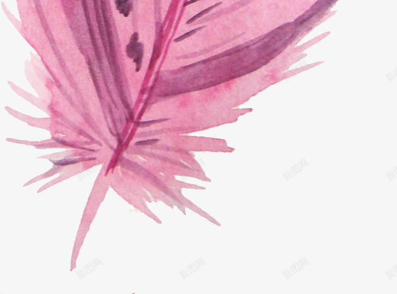 粉色花纹羽毛png免抠素材_新图网 https://ixintu.com png图形 png装饰 手绘 羽毛 花纹 装饰