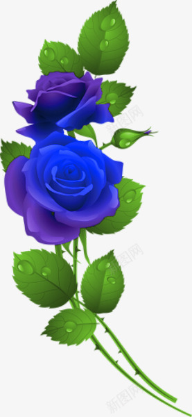手绘蓝玫瑰png免抠素材_新图网 https://ixintu.com 玫瑰花 花朵 蓝玫瑰 鲜花