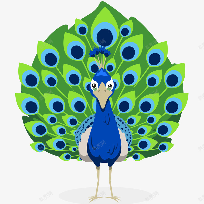动物园孔雀插画矢量图ai免抠素材_新图网 https://ixintu.com 免抠PNG 动物园孔雀矢量插画 卡通孔雀 孔雀羽毛 彩色 绿色 蓝色 鸟类 矢量图