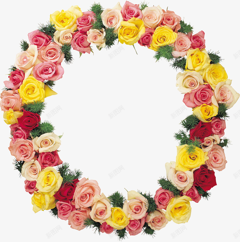 彩色玫瑰花纹边框png免抠素材_新图网 https://ixintu.com 彩色 玫瑰 花纹 边框