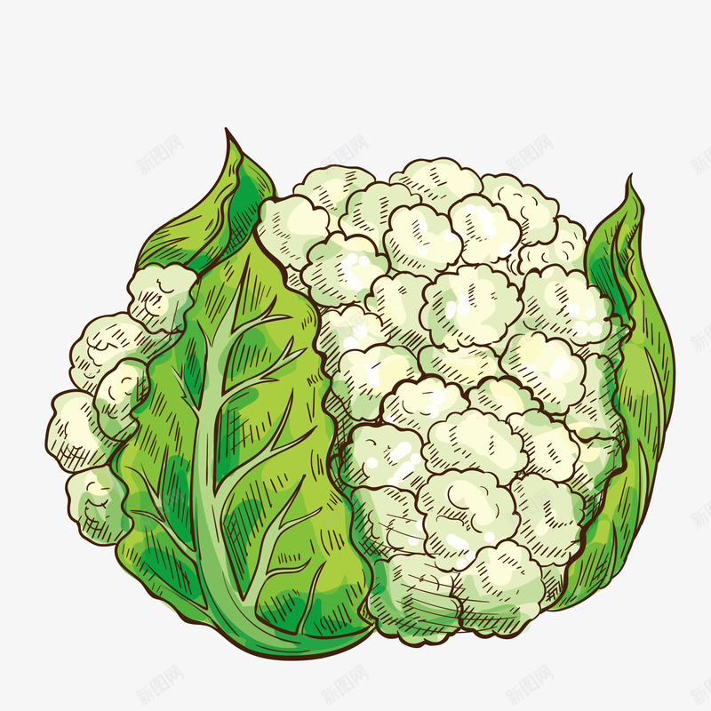 卡通美食装饰插画西兰花png免抠素材_新图网 https://ixintu.com 吃货 海报设计 简约卡通美食装饰 网页设计 美食插画 美食装饰 西兰花