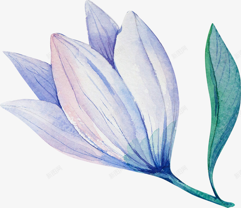 手绘卡通装饰花瓣花草装饰海报设png免抠素材_新图网 https://ixintu.com 包装设计 小清新包装 手绘卡通装饰花瓣花草装饰海报设计免费下载 花朵 花朵装饰 花瓣 花瓣装饰 花草设计 贺卡设计