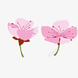 春季粉红色花朵樱花桃花矢量图素材