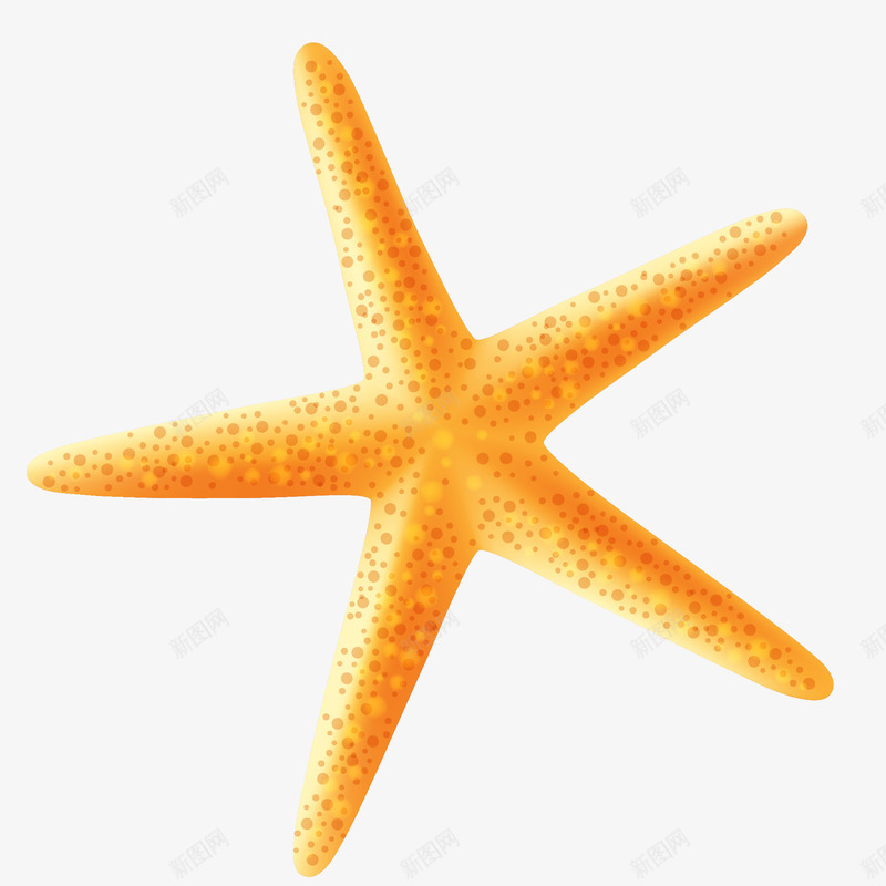 橙黄色海星插画矢量图ai免抠素材_新图网 https://ixintu.com 免抠PNG 梦幻 橙黄色海星矢量插画 水底世界 水族馆 海星 海洋生物 矢量图