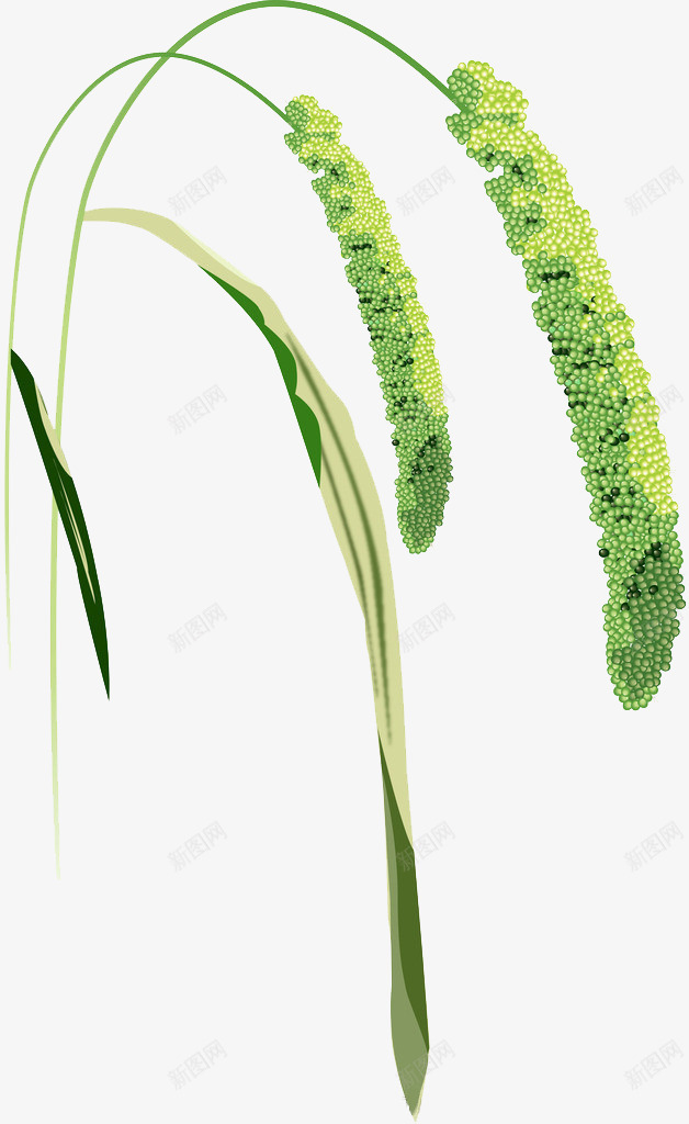绿色圆点拼接芦苇png免抠素材_新图网 https://ixintu.com 圆点 拼接 绿色 芦苇