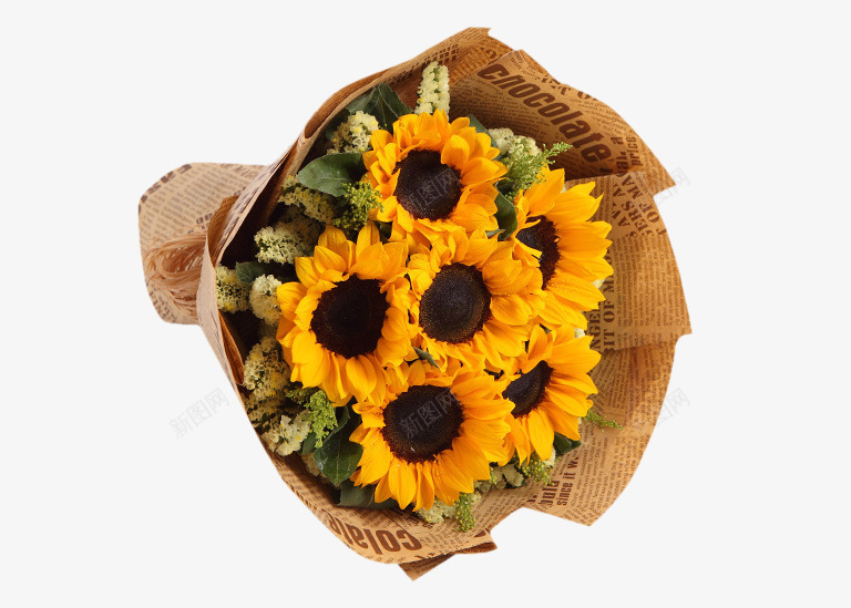 向日葵花束png免抠素材_新图网 https://ixintu.com 6枝 向日葵 花卉 花束 英文报纸包装 鲜花