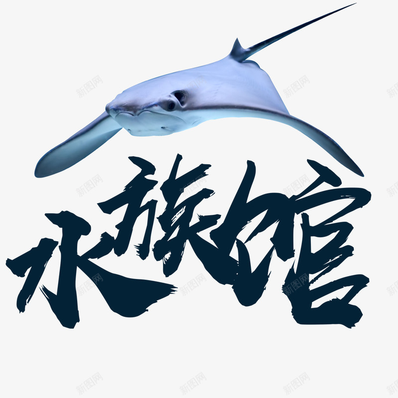 海洋水族馆海报海底世界psd免抠素材_新图网 https://ixintu.com 动物 梦幻 水 水族馆 海底世界 海报 海洋 炫彩 热带鱼 珊瑚 蓝色 鱼
