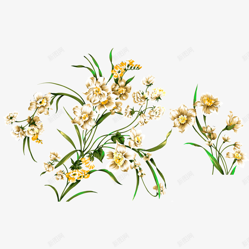 古风花png免抠素材_新图网 https://ixintu.com 古风花草 手绘花 花