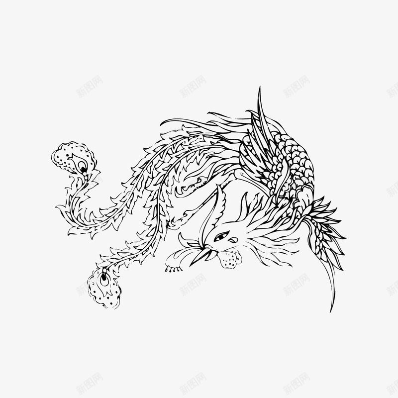 中国风纹样png免抠素材_新图网 https://ixintu.com 中国风纹样 中式传统图案 凤凰白描 凤纹 吉祥图案 线描插画