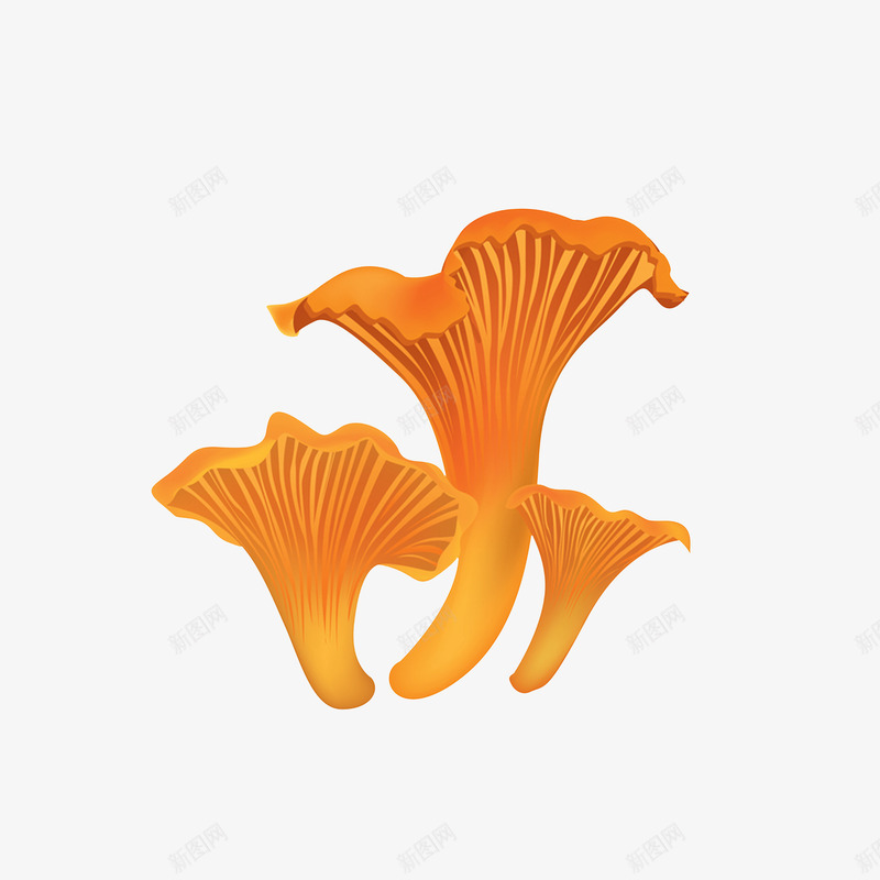 手绘菇类食材效果图png免抠素材_新图网 https://ixintu.com 可使用香菇 手绘菇类 生鲜手绘 菌类食材