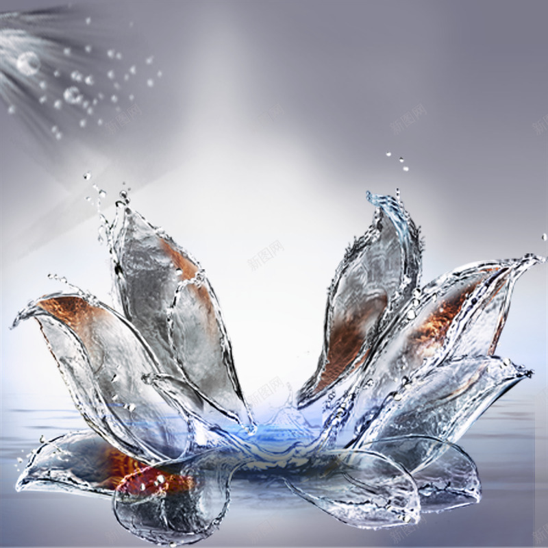 水溅莲花背景psd免抠素材_新图网 https://ixintu.com 彩妆 水溅 莲花