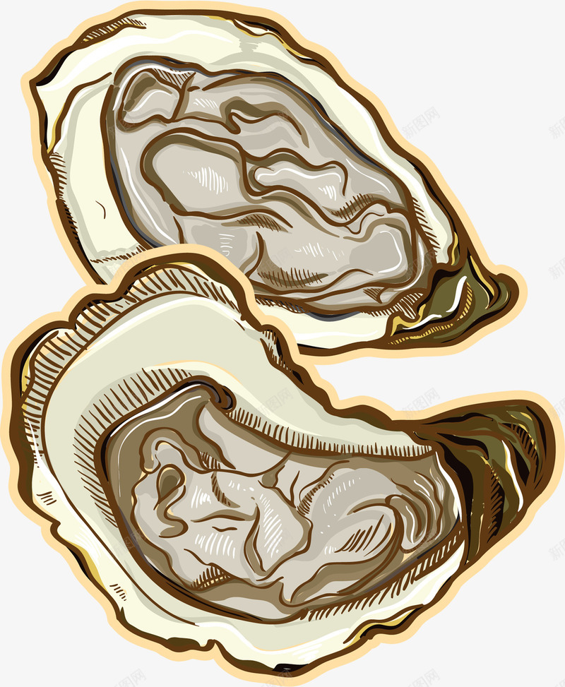 手绘美味的贝壳png免抠素材_新图网 https://ixintu.com 免抠图 效果图 海鲜 装饰图 装饰画 贝壳 食物