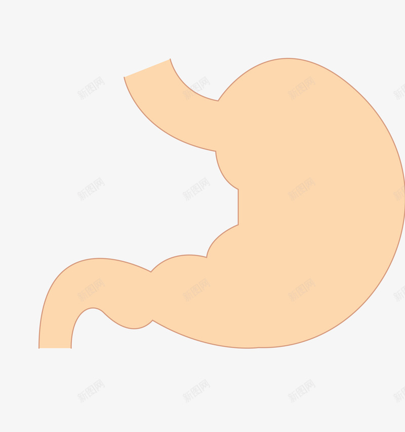 手绘卡通线描器管胃png免抠素材_新图网 https://ixintu.com 医学 卡通 手绘 线描器管 胃 胃部 药品包装