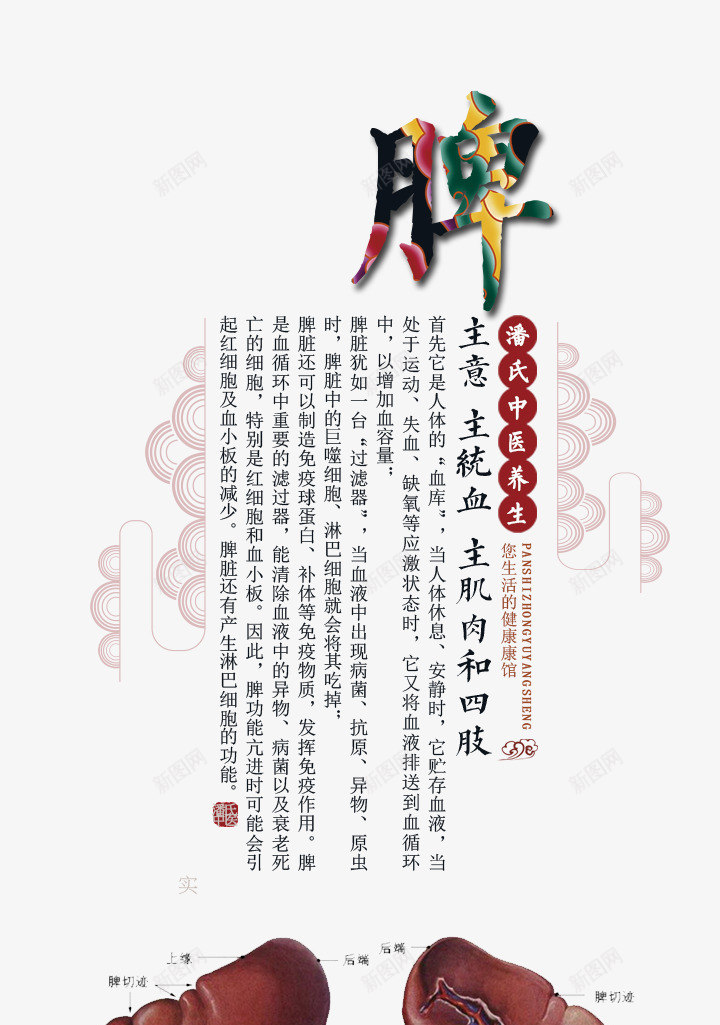 脾功能养生png免抠素材_新图网 https://ixintu.com 中医养生海报 复古背景 脾功能 脾结构