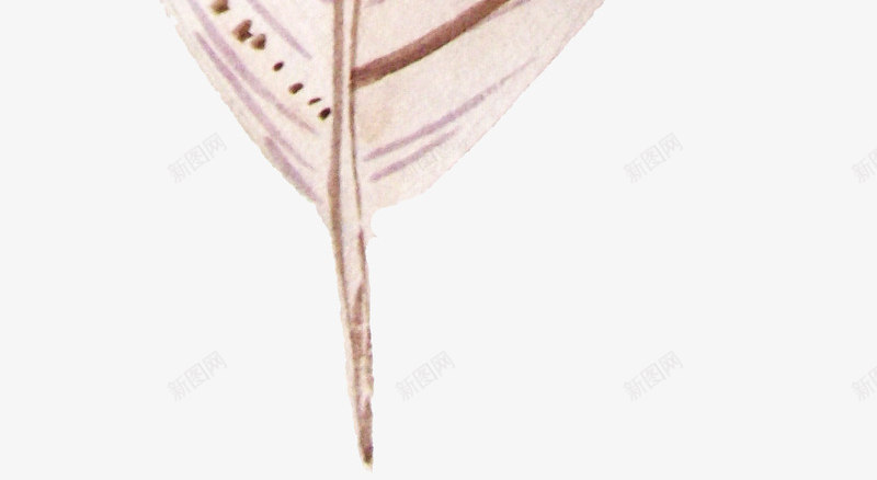 棕色花纹羽毛png免抠素材_新图网 https://ixintu.com png图形 png装饰 手绘 棕色 羽毛 花纹 装饰