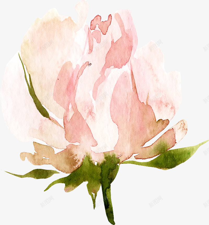 文艺清新花草海报装饰png免抠素材_新图网 https://ixintu.com 小清新花草装饰 文艺花草PPT制作 植物插画 海报设计 花草包装礼盒 花草插画 花草装饰
