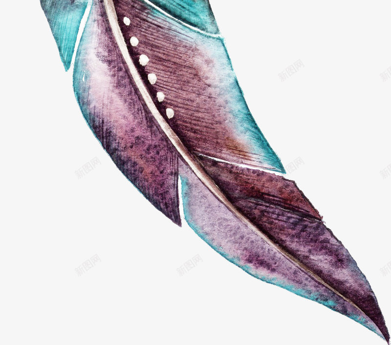彩色的羽毛png免抠素材_新图网 https://ixintu.com 彩色 手绘画 矢量装饰 羽毛 装饰