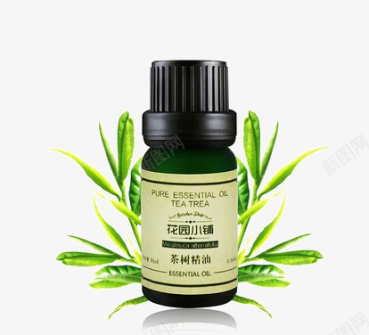 花园小铺茶树精油png免抠素材_新图网 https://ixintu.com 产品实物 化妆品 单方 植物 精油 美容 花园小铺