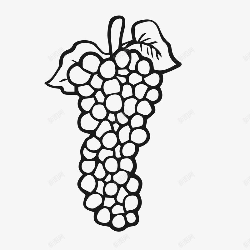 简笔画葡萄图标png_新图网 https://ixintu.com 卡通 手绘 水果 简洁流畅 葡萄简笔画 黑色线条
