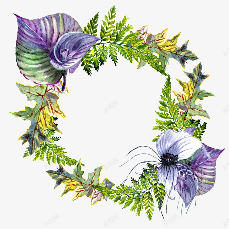手绘花卉花草花框png免抠素材_新图网 https://ixintu.com 小清新花草装饰 文艺花草PPT制作 植物插画 海报设计 花框 花环 花草包装礼盒 花草插画 花草装饰