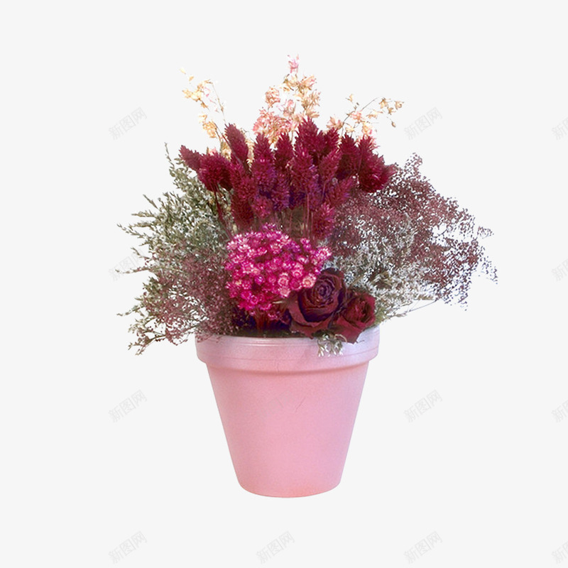 花卉元素png免抠素材_新图网 https://ixintu.com 植物 盆摘 绿色 花儿 花卉 花卉元素 花瓶 花盆 鲜花