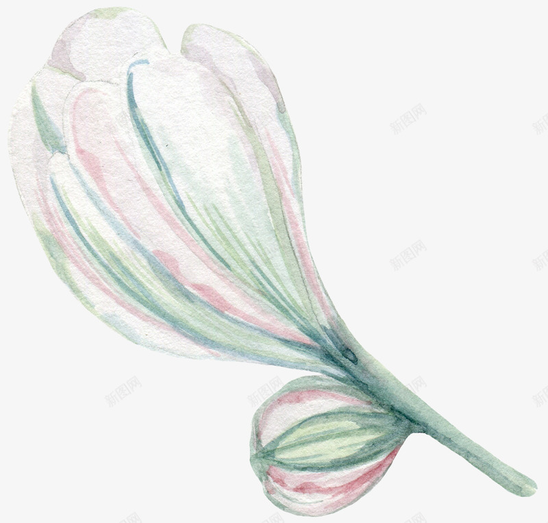 水彩绿色植物装饰图png免抠素材_新图网 https://ixintu.com 创意 卡通手绘 植物 水墨 水彩 绿色 花卉 花朵 鲜花