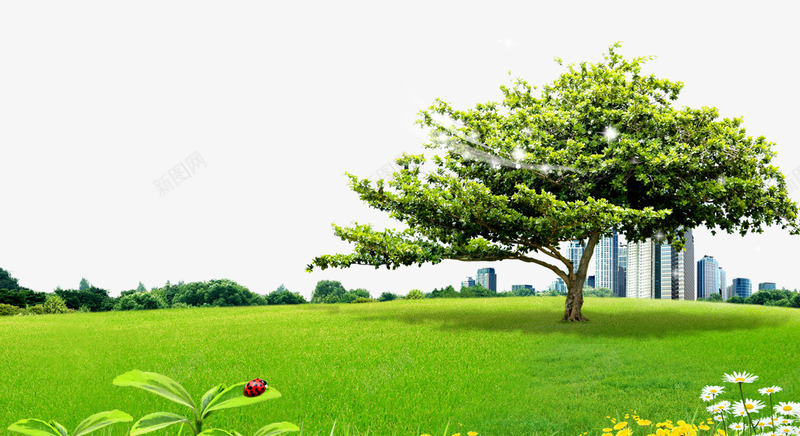 建筑草地大树背景png免抠素材_新图网 https://ixintu.com 城市风光背景 大树 草坪 高楼