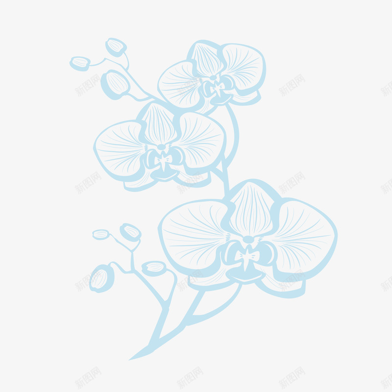 手绘蓝色兰花矢量图ai免抠素材_新图网 https://ixintu.com 兰花 手绘植物 背景装饰 花卉 蓝色 蓝色鲜花 矢量图