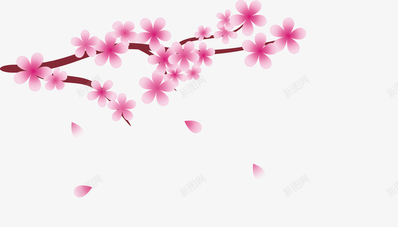 樱花png免抠素材_新图网 https://ixintu.com 樱花 背景装饰 花卉 花朵 花边